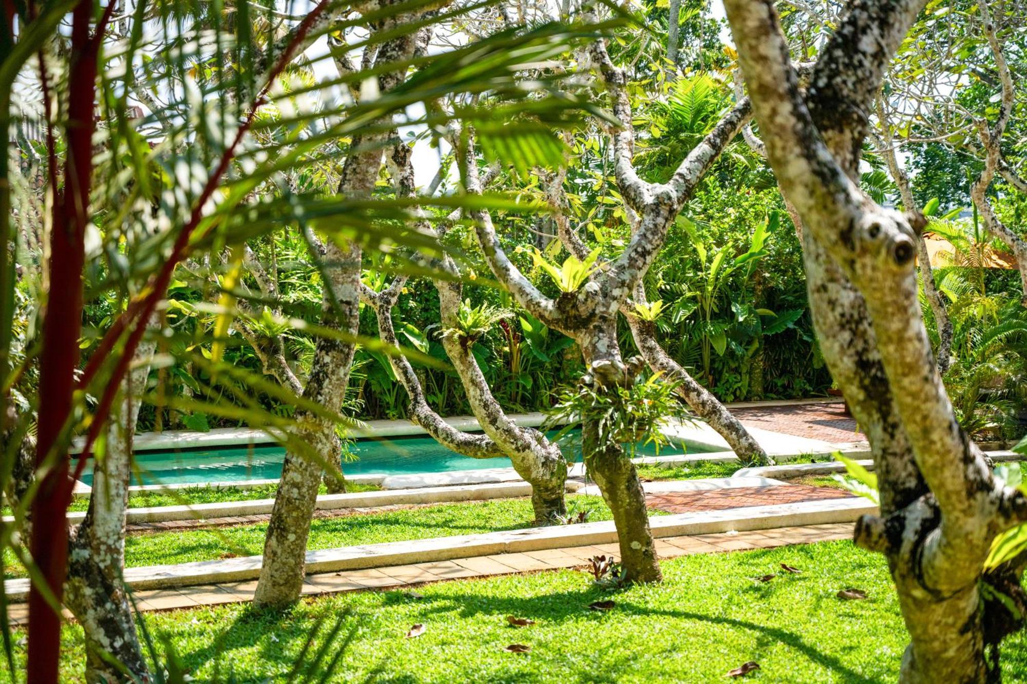 The Sun House Hotel Galle Exterior photo